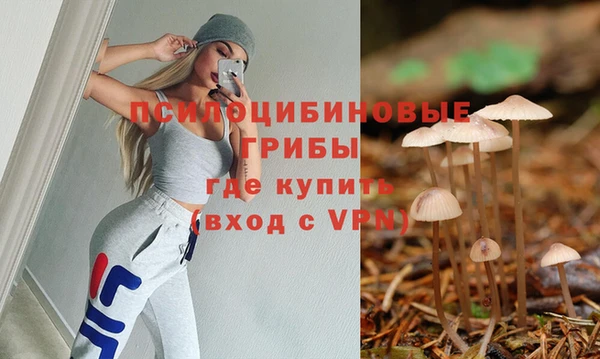 мяу мяу мука Абаза