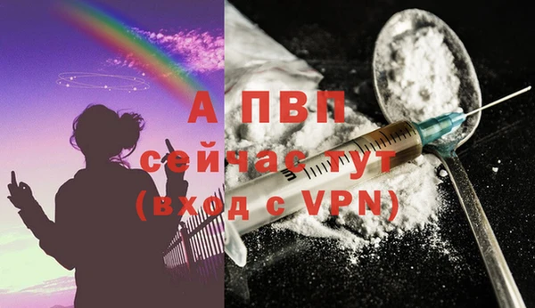 мяу мяу мука Абаза