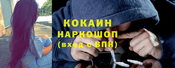 мяу мяу мука Абаза